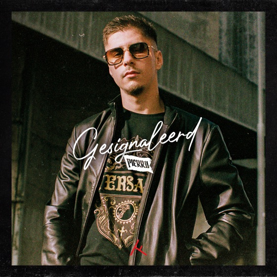 Cover artwork for Gesignaleerd