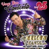 Vengo Bien Contento artwork