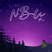 N.B.U artwork