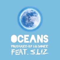 Oceans (feat. S.Liz) - Single - Lilshnee