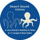 Aunt Wendy's Wedding in Wales (Instrumental) artwork