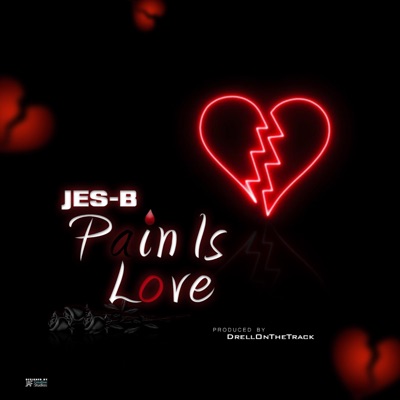 Pain IS Love - Single