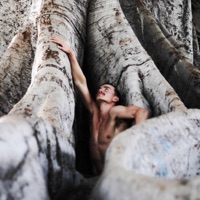 Money Trick$ - Single - Nicko Ostby