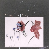 Album cover for Panda by ameba