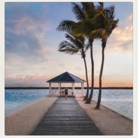 Hold You - Single - Taigo