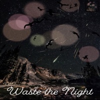 Waste the Night - Single - Draco Wave