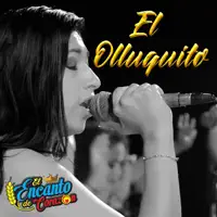 El Olluquito