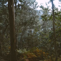 Lavender - Single - Rebaph