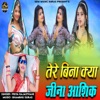 Tere Bina Kya Jina Aashiq - EP