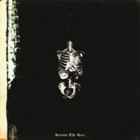 Runnin' the Race - Single - Sultan Braum