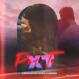 Por Ti (feat. Abrina) Aaron Echeverria