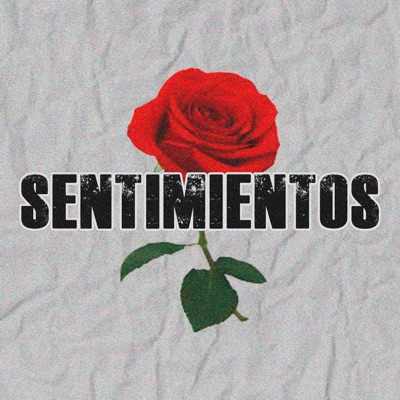 Sentimientos - Single