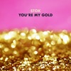 You're My Gold - Single artwork