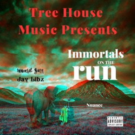 Nuance (feat. Jay Libz) Immortal Youth