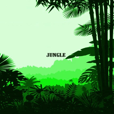 Jungle - Single
