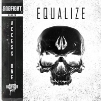 Equalize - Single - Access One