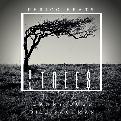 On Tree$ (feat. Danny Dogs) - Single