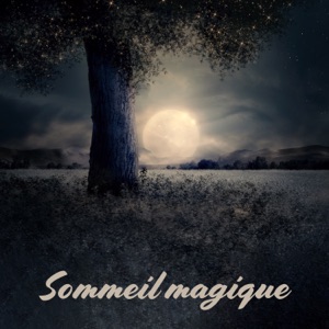 Sommeil magique: Détente et bien-être toute la nuit, Rêver en profondeur et visualisation