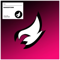 Bangertown - Single - RG