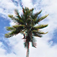 No Worries (feat. Kevi Morse) - Single - K9