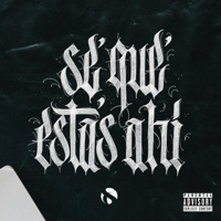Se Que Estas Ahí (feat. Lincespl, Hydro Spl, Thunder Spl & Rize 1200) - Single - Spl Clan