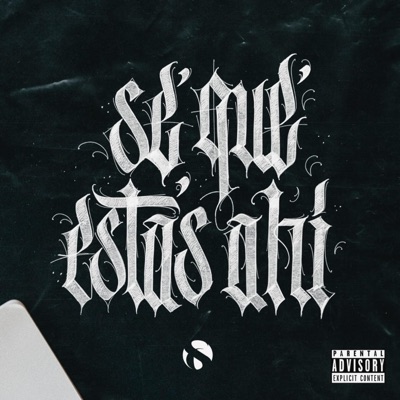 Se Que Estas Ahí (feat. Lincespl, Hydro Spl, Thunder Spl & Rize 1200) - Single