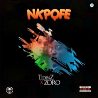Nkpofe (feat. Zoro) - Single - Tidinz
