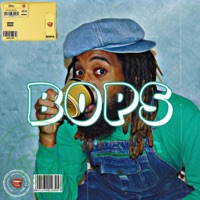 B.O.P.S. - Kamus Leonardo