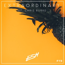 Extraordinary (feat. Chris Burke) ESH