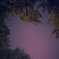 Mist - Single - Meyo