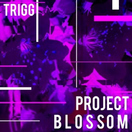 Tokyo (feat. Cmo) Trigg Beats