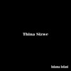 Thina Sizwe - Single