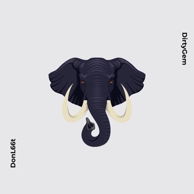 Elephant In the Room - Single