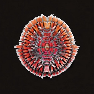 Synapses 1 - Single