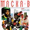 Macka B - Who Are the Terrorists?