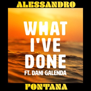 What I've Done - Single