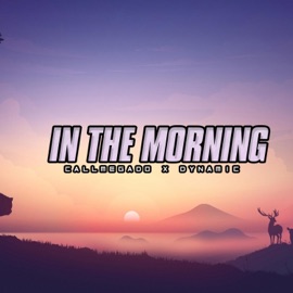 In the Morning (feat. Dynamic) Callmegado