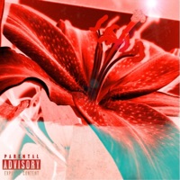 Angel Wings (feat. BigBabyGucci) - Single - Tanner Parks