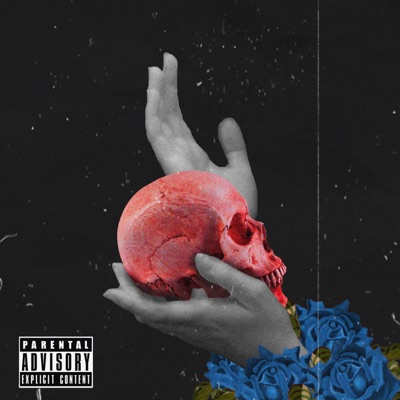 Where Did I Go Wrong?