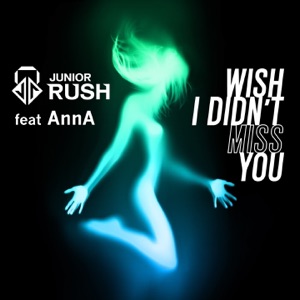 Wish I Didn't Miss You (feat. AnnA) - Single