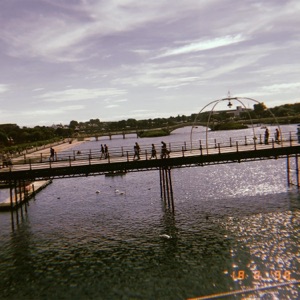 Soulful Feels. - Single