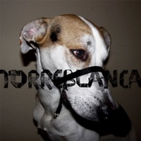 Defensa - EP - Torreblanca
