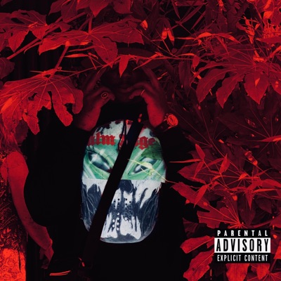 Shekpe Level (feat. Duzzy) - Single