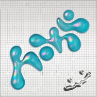 home - Single - Two Shell