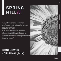 Sunflower - Single - SpringHill