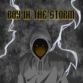 Go Storm Go artwork