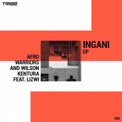 Ingani (feat. Lizwi) - Single