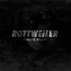 Rottweiler - Single