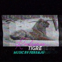 Tigre (feat. Ferrajú) - Single - Realismos