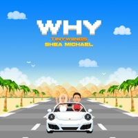 Why - Single - Shea Michael & Tinywiings